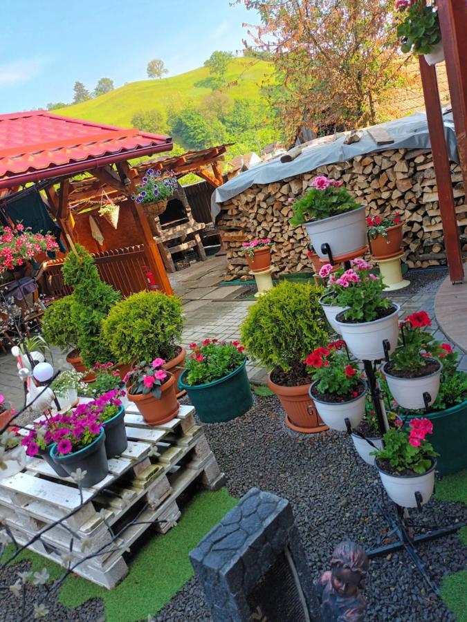 Casa Vio Hotel Sighisoara Exterior photo