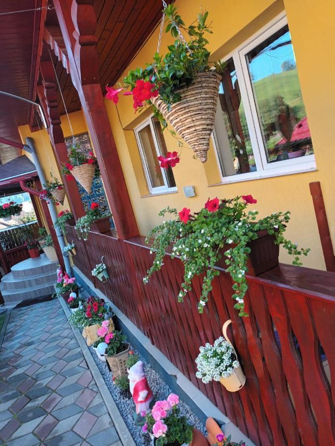 Casa Vio Hotel Sighisoara Exterior photo