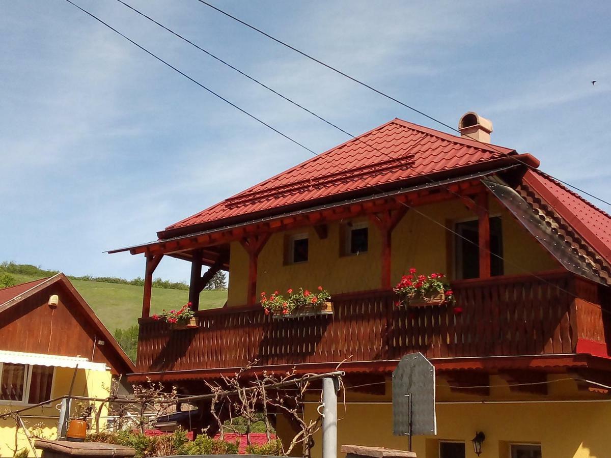 Casa Vio Hotel Sighisoara Exterior photo